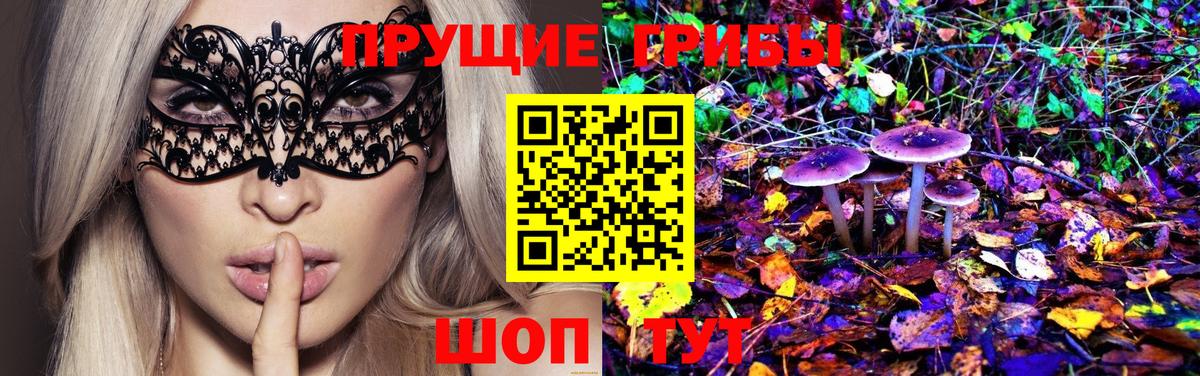 Верхняя Салда  Галлюциногенные грибы Psilocybine cubensis  Вход с VPN  Галлюциногенные грибы мицелий 